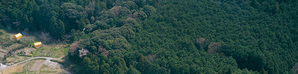 header89e6919c01.png